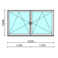 TO Bny-Bny ablak.  220x120 cm (Rendelhető méretek: szélesség 215-224 cm, magasság 115-124 cm.)  New Balance 85 profilból